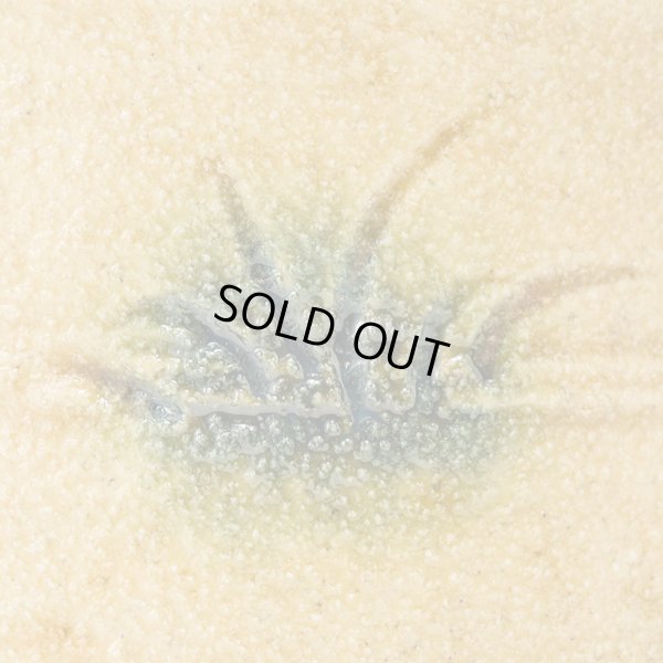 画像10: 黄瀬戸ぐい呑