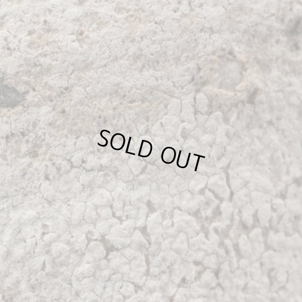 画像13: 明主航　白刻片口