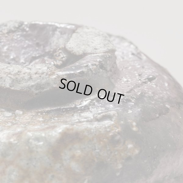 画像12: 丹波酒呑　10