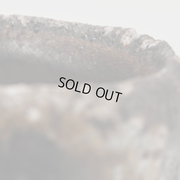 画像9: 丹波酒呑　10