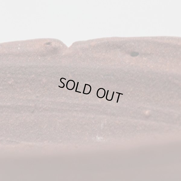 画像10: 四日市盃