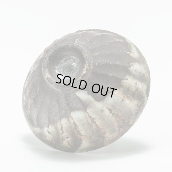 画像8: 打掛志野鎬盃　12