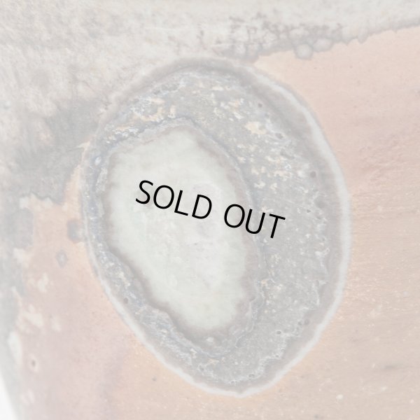 画像12: 窯変杯　１