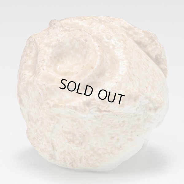 画像8: 螺栗盃　25