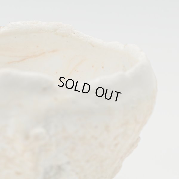 画像10: 螺栗盃　25