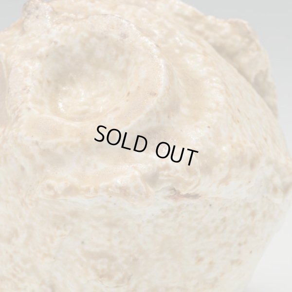 画像16: 螺栗盃　25