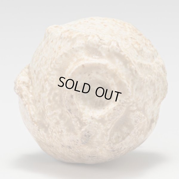 画像7: 螺栗盃　25