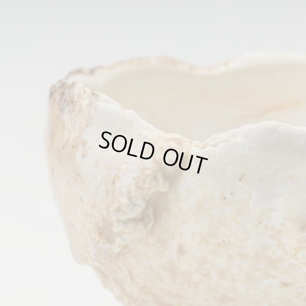 画像9: 螺栗盃　25