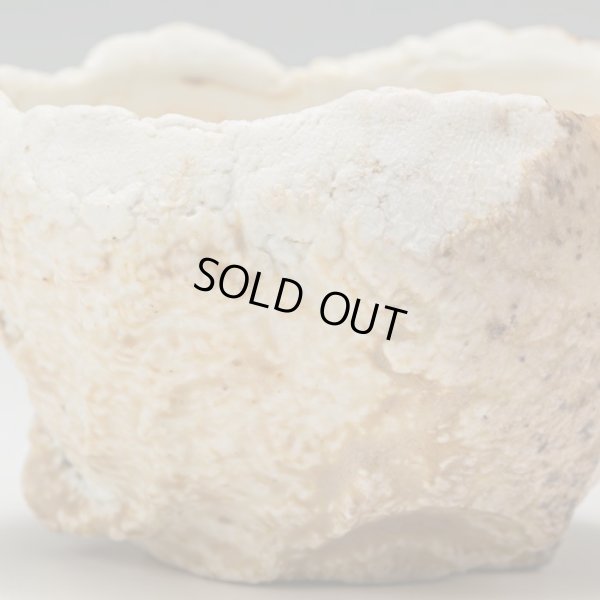 画像13: 螺栗盃　25