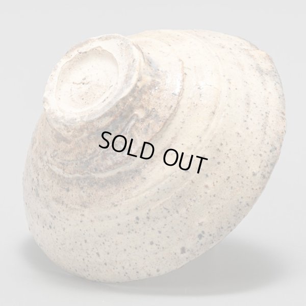 画像8: 坂倉正紘　台ノ土大道粉引酒盃　３