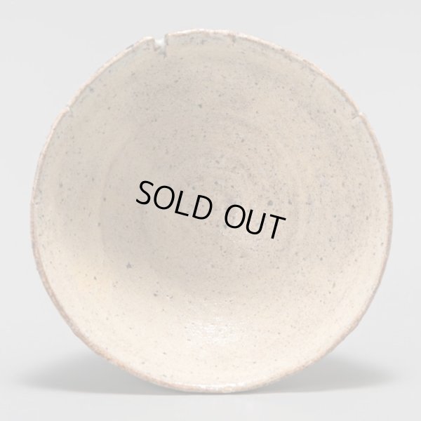 画像6: 坂倉正紘　台ノ土大道粉引酒盃　３