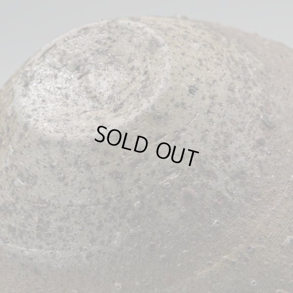 画像14: 池田省吾　種子島盃　２