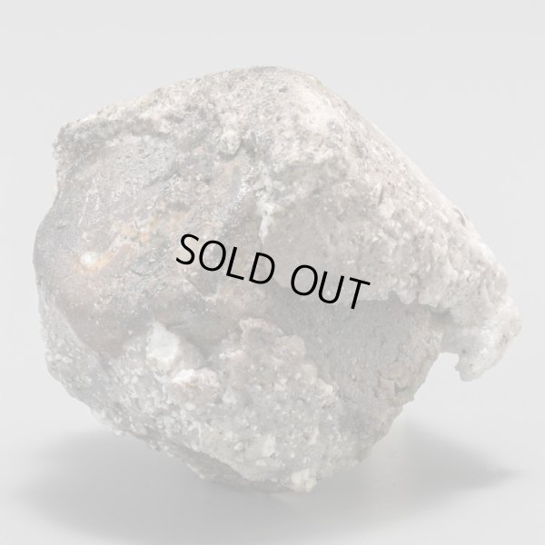 画像8: 谷本貴　伊賀ぐい呑