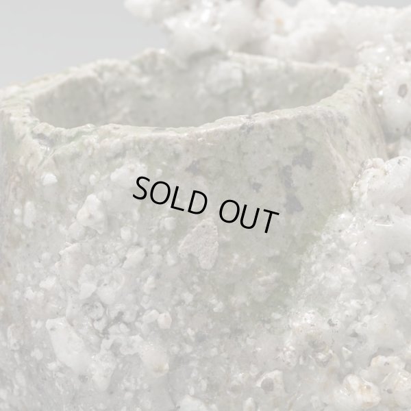 画像13: 谷本貴　伊賀ぐい呑