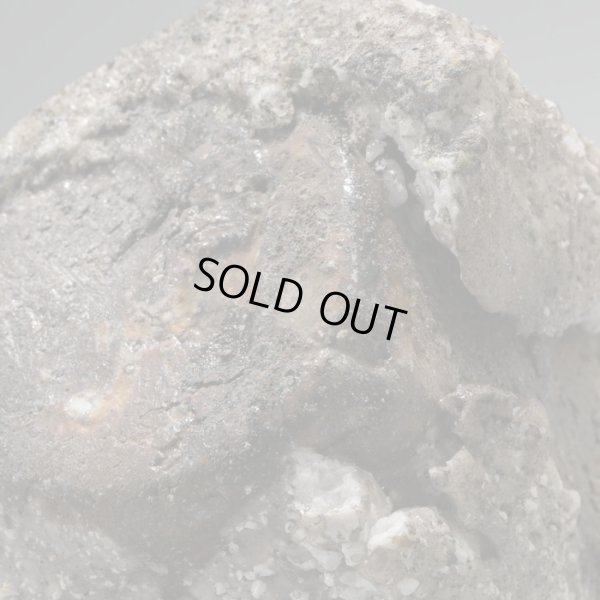 画像18: 谷本貴　伊賀ぐい呑