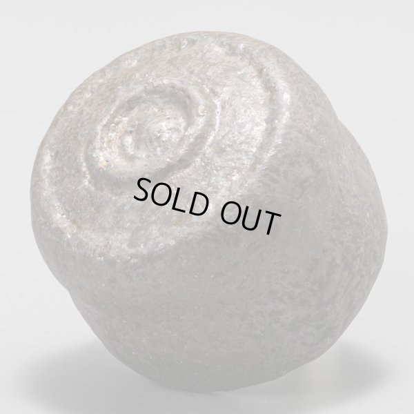 画像8: 柳下季器　今焼黒ぐい呑　