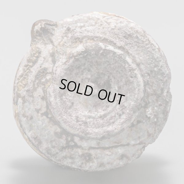 画像7: 福島一紘　伊賀ぐい呑　１