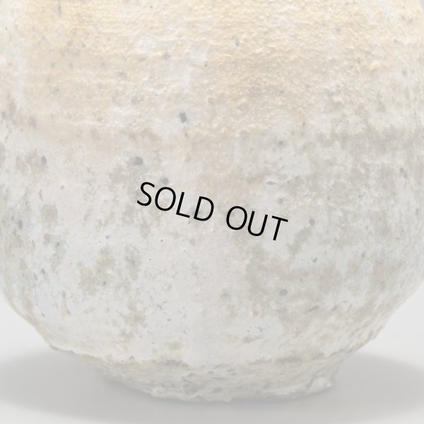 画像15: 阪本健　徳利