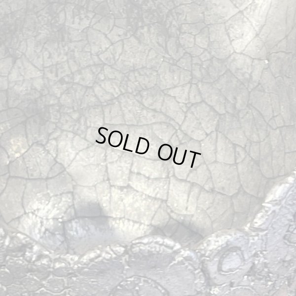 画像14: テクスチャ　片口　輪っか　プラチナ彩