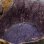 画像16: 大西雅文　丹波紫釉ぐい呑