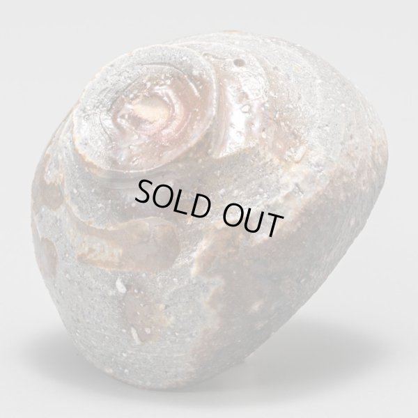 画像8: 近藤正彦　備前酒呑　18