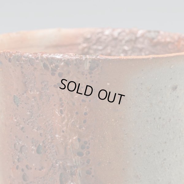 画像11: 星野聖　備前酒呑　２