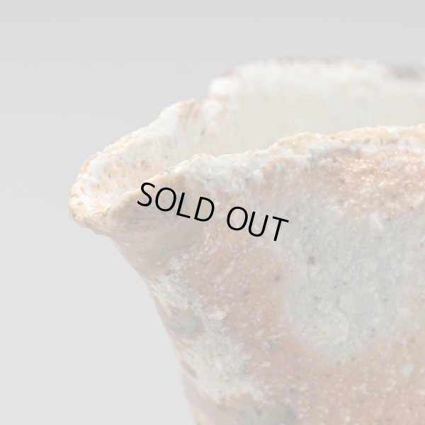 画像10: 石田和也　備前磁器注器　１