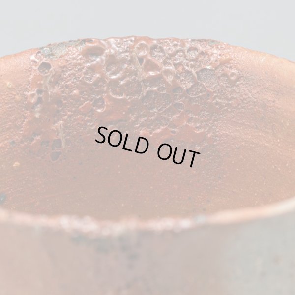 画像16: 星野聖　備前酒呑　２