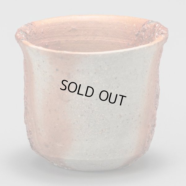 画像4: 星野聖　備前酒呑　２