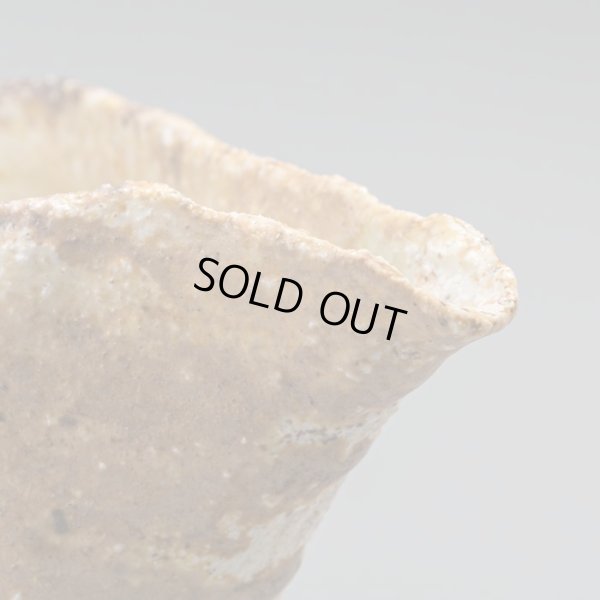 画像11: 石田和也　備前磁器注器　１