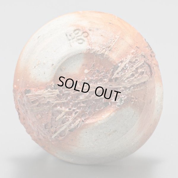 画像7: 星野聖　備前酒呑　２