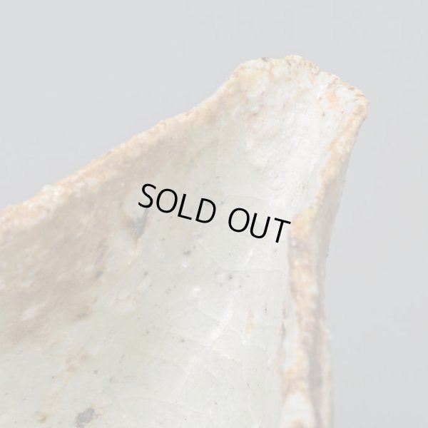 画像14: 石田和也　備前磁器注器　１