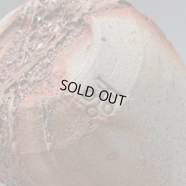 画像19: 星野聖　備前酒呑　２