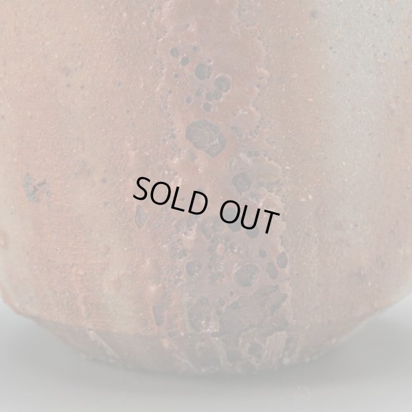 画像14: 星野聖　備前酒呑　２