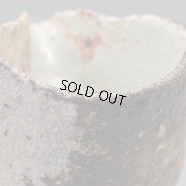 画像12: 石田和也　備前磁器注器　１