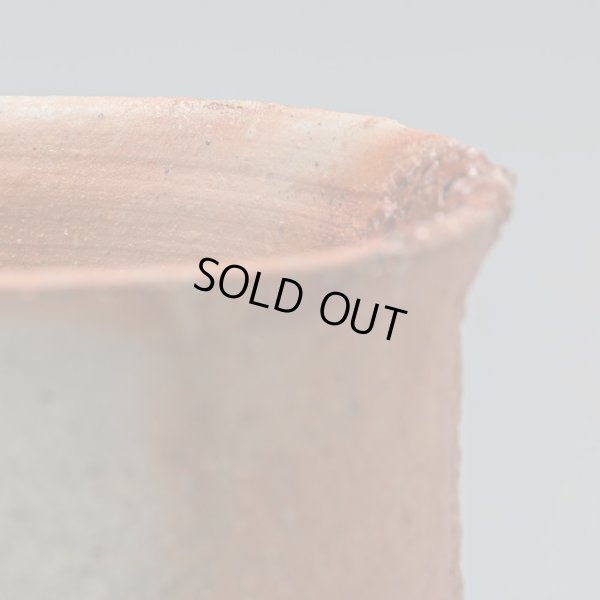 画像10: 星野聖　備前酒呑　２