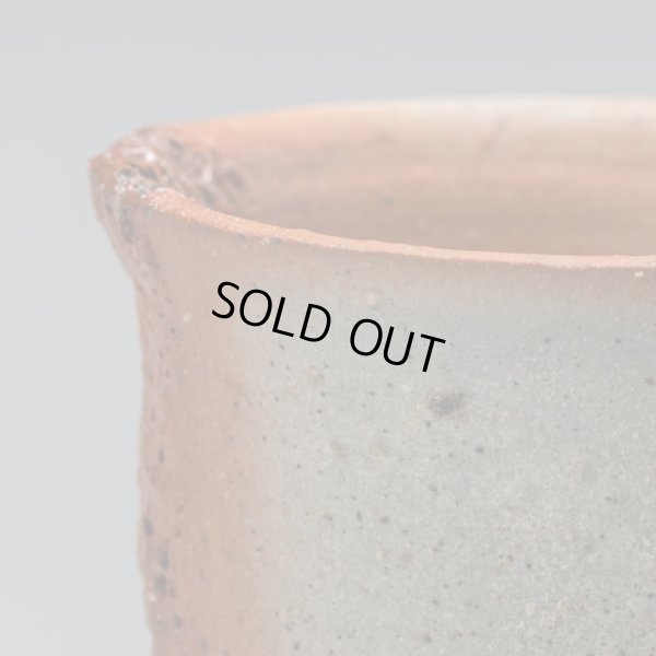 画像9: 星野聖　備前酒呑　２