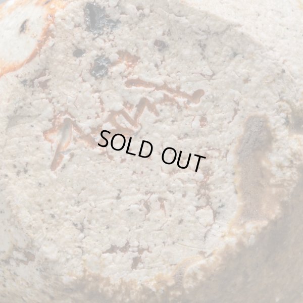 画像19: 石田和也　備前磁器注器　１