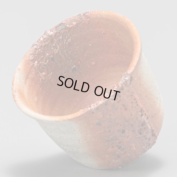 画像5: 星野聖　備前酒呑　２