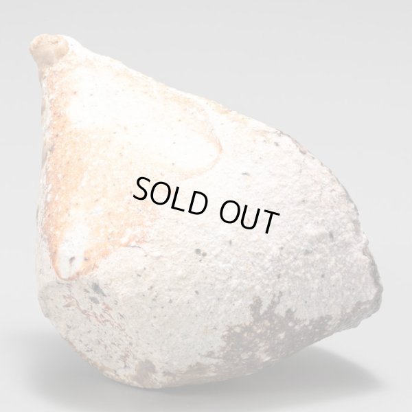 画像9: 石田和也　備前磁器注器　１