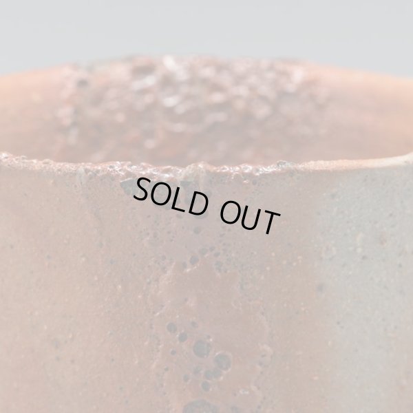 画像12: 星野聖　備前酒呑　２