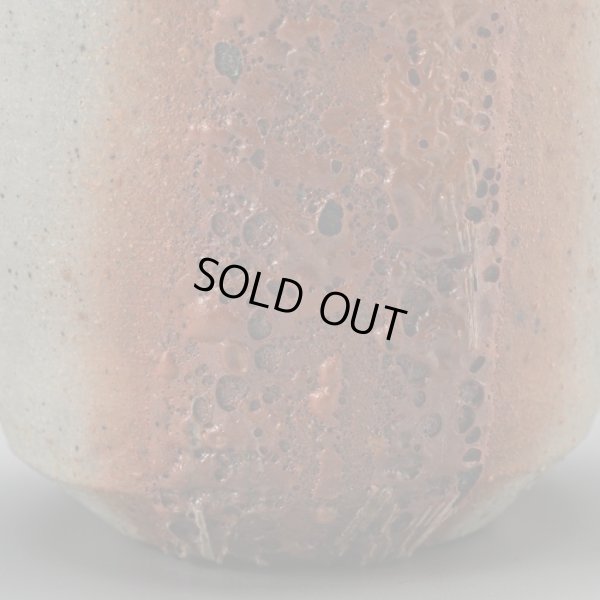 画像13: 星野聖　備前酒呑　２