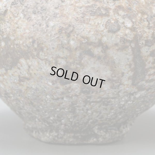 画像13: 丹波片口　31