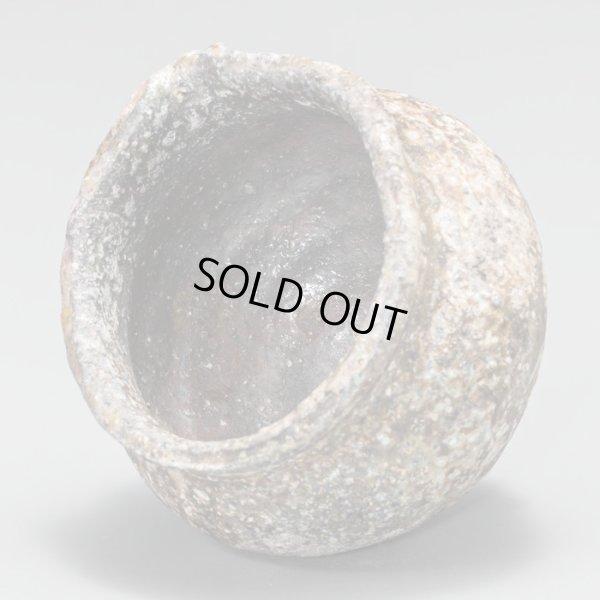 画像6: 丹波片口　31