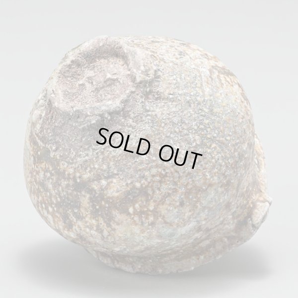 画像9: 丹波片口　31