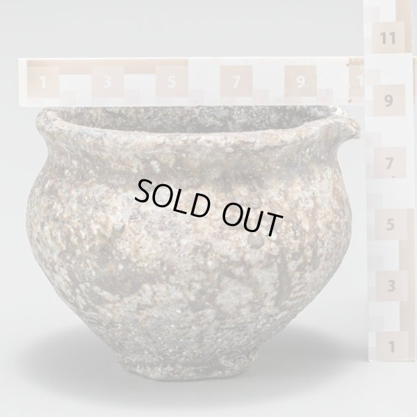 画像19: 丹波片口　31