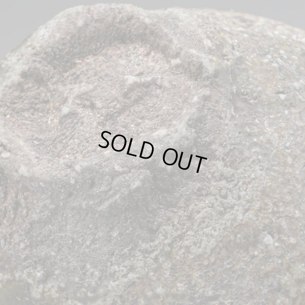 画像17: 丹波片口　31