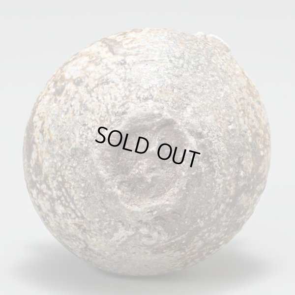 画像8: 丹波片口　31