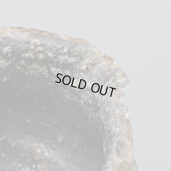 画像15: 丹波片口　31