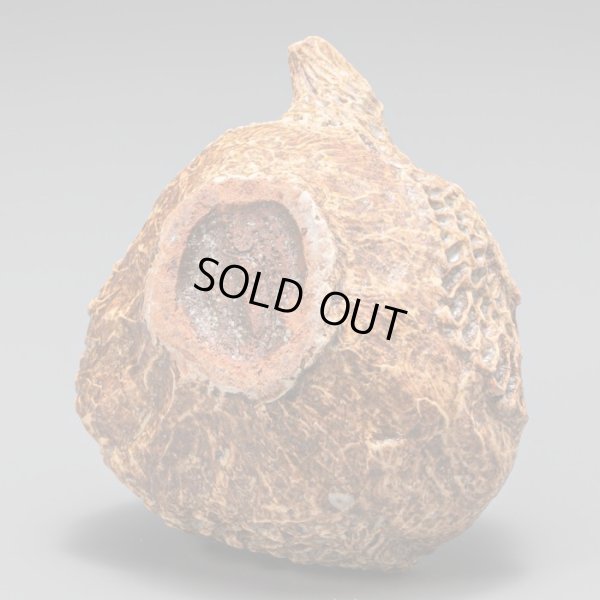 画像9: 粒紋器　20